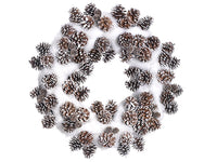 22" Pine Cone/Fur Wreath  Brown White (pack of 1)