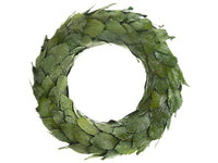 16" Iced Magnolia Leaf Wreath  Green Ice (pack of 2)