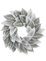 24" Snowed Magnolia Leaf Wreath White Green (pack of 1)