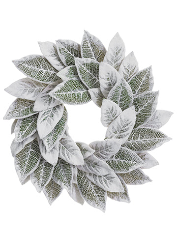 24" Snowed Magnolia Leaf Wreath White Green (pack of 1)
