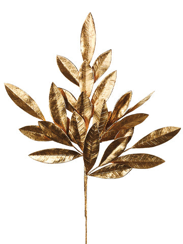 19" Bay Leaf Spray x4  Gold (pack of 36)