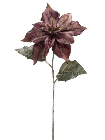 24" Charisma Poinsettia Spray  Chocolate (pack of 12)