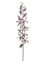 39" Vanda Orchid Spray  Gray (pack of 12)