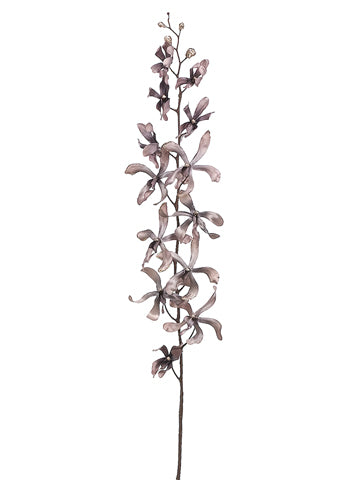 39" Vanda Orchid Spray  Gray (pack of 12)