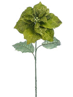 26.5" Glittered Poinsettia Spray Green Glittered (pack of 12)
