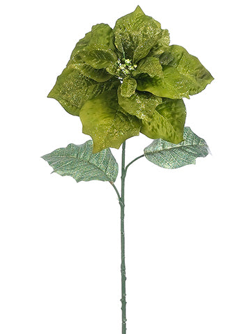 26.5" Glittered Poinsettia Spray Green Glittered (pack of 12)