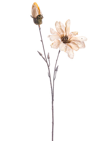 25" Glittered Magnolia Spray  Champagne Glittered (pack of 12)