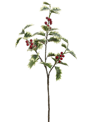 28" Iced Holly Spray with Berry Variegated Ice (pack of 12)