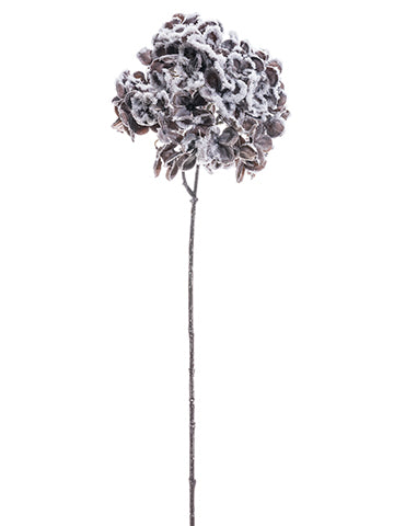 24" Snowed Hydrangea Spray  Brown Snow (pack of 12)