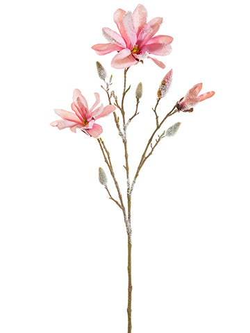 34" Snowed Magnolia Spray  Mauve (pack of 12)
