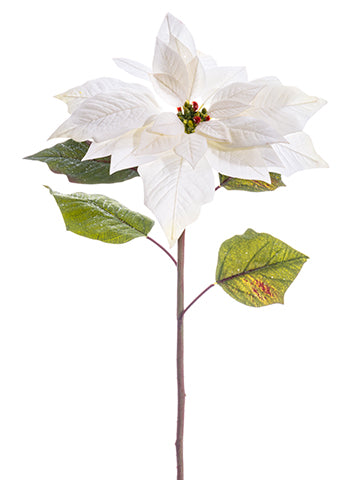 29" Iced Poinsettia Spray  White Ice (pack of 12)