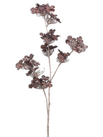31" Wild Hydrangea Spray  Coffee (pack of 12)