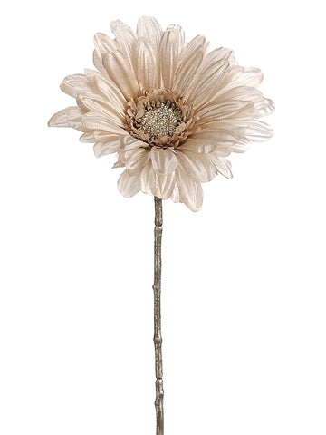 17" Gerbera Daisy Spray  Champagne (pack of 36)