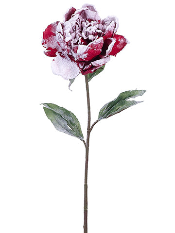 28" Snow Peony Spray  Snow Red (pack of 12)