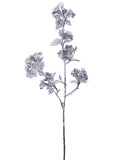 Snow Lavender