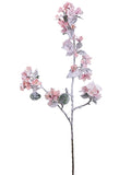 Snow Pink