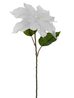 30" Iced Poinsettia Spray  White (pack of 12)