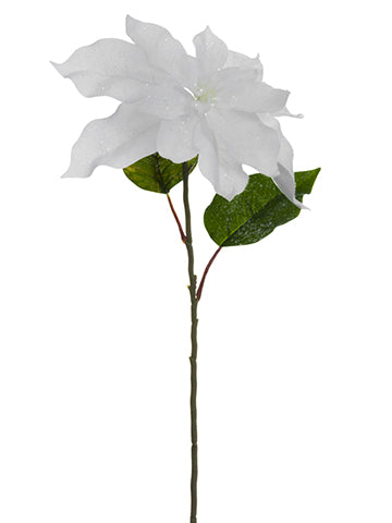 30" Iced Poinsettia Spray  White (pack of 12)
