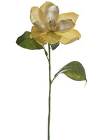 20" Metallic Magnolia Spray  Gold (pack of 12)