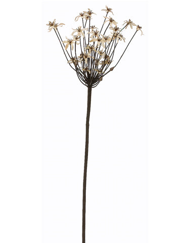37" Delicate Allium Spray  Cream (pack of 6)