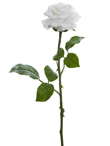 17" Snowed Rose Spray  White Ice (pack of 12)