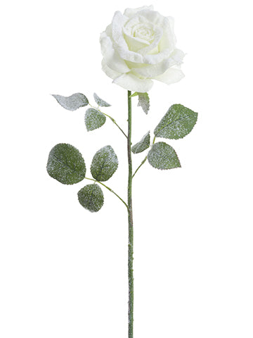 27" Snowed Rose Spray  White Snow (pack of 12)