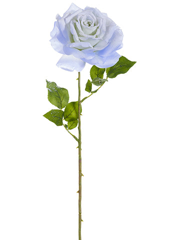 Blue White