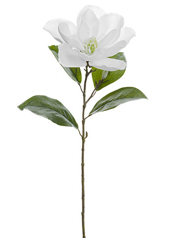 28" Snowed Magnolia Spray  White Ice (pack of 12)