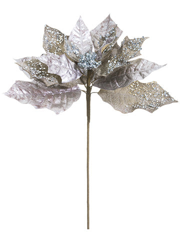 20" Glittered Poinsettia Spray Champagne Silver (pack of 24)