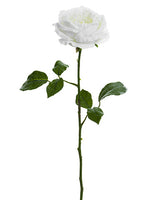 25" Snowed Cabbage Rose Spray  White Ice (pack of 12)