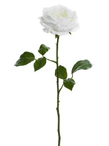 25" Snowed Cabbage Rose Spray  White Ice (pack of 12)