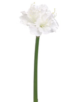 31" Snowed Amaryllis Spray  White Ice (pack of 12)