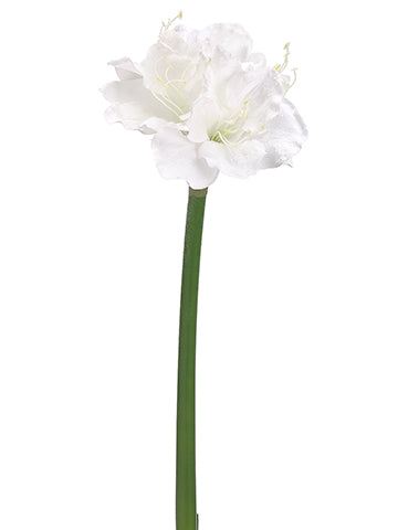 31" Snowed Amaryllis Spray  White Ice (pack of 12)