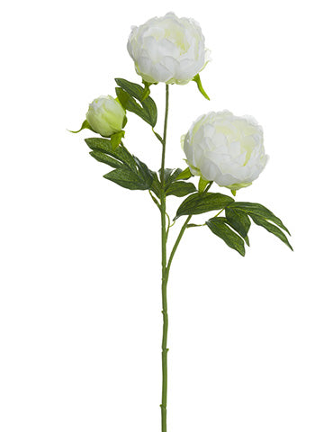 25" Glittered Peony Spray  White (pack of 12)