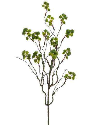 23" Irish Moss Spray  Green (pack of 12)