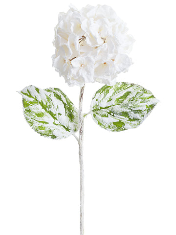 29" Beaded/Snowed Hydrangea Spray White Snow (pack of 12)