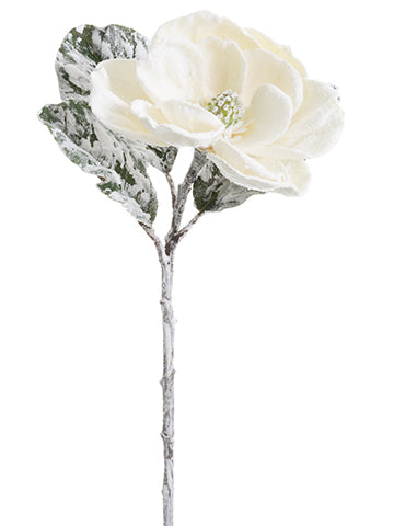 32" Beaded/Snowed Magnolia Spray White Snow (pack of 12)