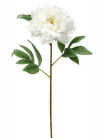 31" Iced Peony Spray  White (pack of 12)