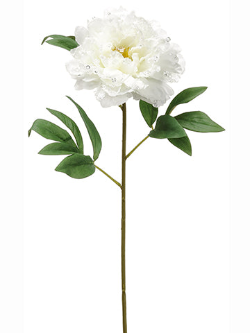 31" Iced Peony Spray  White (pack of 12)