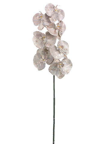 42" Phalaenopsis Orchid Spray  Gold Tiffany (pack of 6)