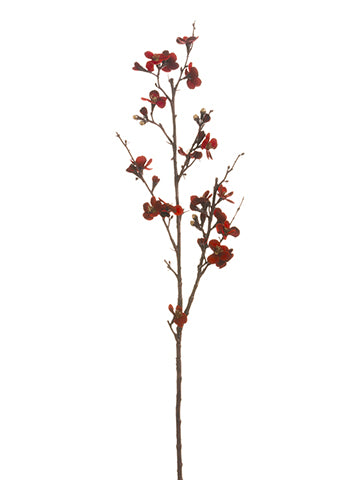 34" Velvet Quince Blossom Spray Red (pack of 6)