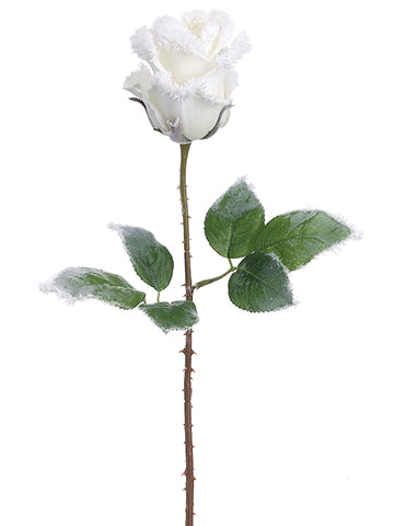 21" Snowed Rose Spray  White Snow (pack of 24)