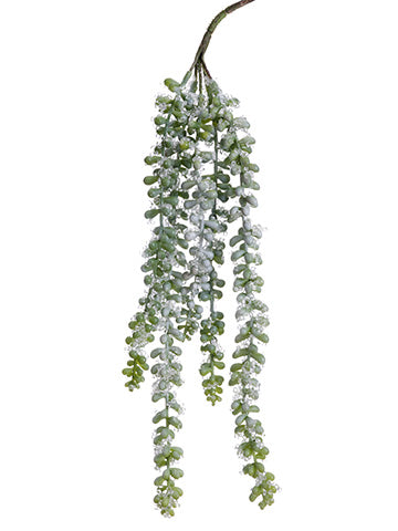 16.5" Iced Donkey's Tail Hanging Pick Green Gray (pack of 12)