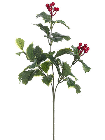 22" Holly Spray With Berries  Green Variegated (pack of 12)
