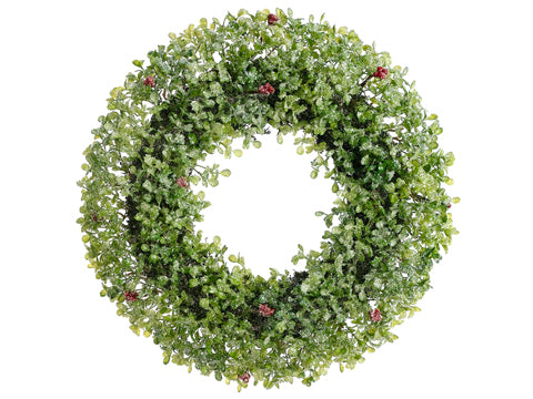 16" Icy Boxwood Wreath  Light Green (pack of 4)