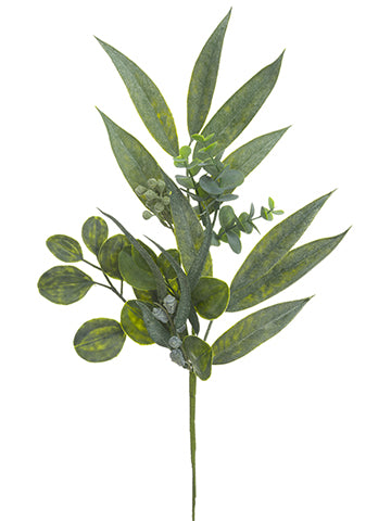 20" Eucalyptus Spray w/Seed  Green Two Tone (pack of 24)