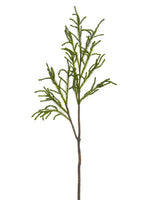 31" Protea Leaf Spray  Green (pack of 12)