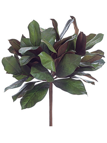 22.5" Magnolia Leaf Bundle  Green (pack of 4)