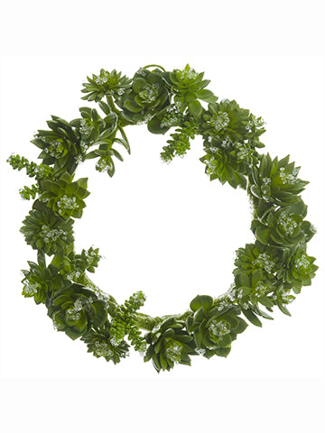 12" Iced Succulent Wreath  Green (pack of 2)