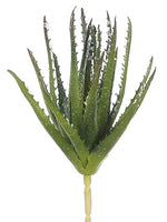 11" Iced Soft PE Agave Pick  Green Ice (pack of 12)